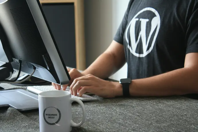 Wordpress website developer